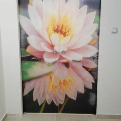 Masterglass Efarmoges 19